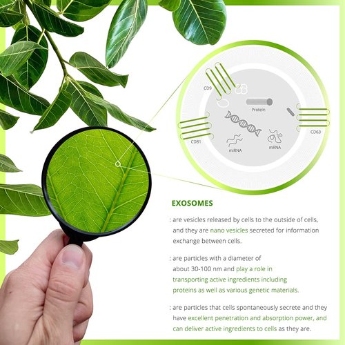 EXODROP Exosome Toner, Clarifying&Moisturizing, Ginseng Tree Exosome, Quick-Absorbing, Vegan, All Skin Types, 4.05 Fl Oz