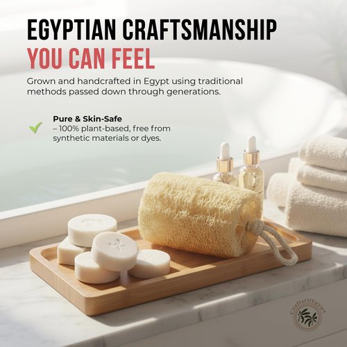 CraftsOfEgypt Natural Loofah Sponge – Egyptian Luffa Body Scrubber Pack of 4 for Men & Women, Natural Bath & Shower Loofah Exfoliator, All Natural Loofah Sponges for Face Back & Body, 6" x 6"