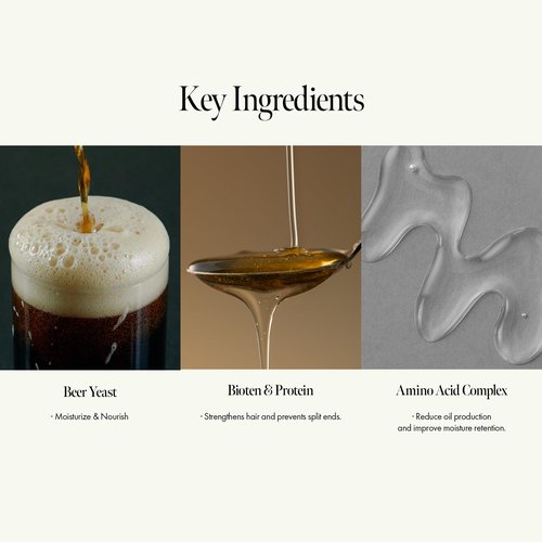 ANILLO Dark Beer Biome Conditioner Treatment – Vegan Hair Repair & Strengthening Conditioner with Beer Yeast, Biotin & Amino Acid Complex – Soothing & Nourishing Scalp Care – 500ml / 16.9 fl oz