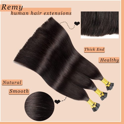 Jiameisi I Tip Hair Extensions Human Hair, 14inch 50g I-Tip Hair Extensions for Women Cold Fusion Extensions Itip Straight Real Human Hair #2 Dark Brown