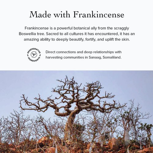 evanhealy Frankincense HydroSoul | Organic Steam Distilled Hydrosol | Wild-Harvested Boswellia Resin Facial Tonic | Sustainable Frankincense Harvesting | Alcohol Free Toner