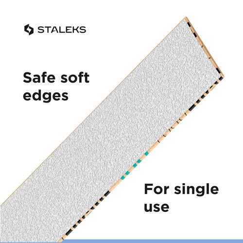 STALEKS PRO White Disposable Abrasive Tape papmAm Expert in a Plastic case 100 grit