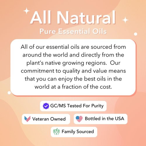 Vitality Extracts Morning Glow - Daily Moisturizing Serum, Avocado Oil, Tone, Rosehip, Vegan, Supple Skin, Radiant, All Skin Types, Hydrates & Nourishes