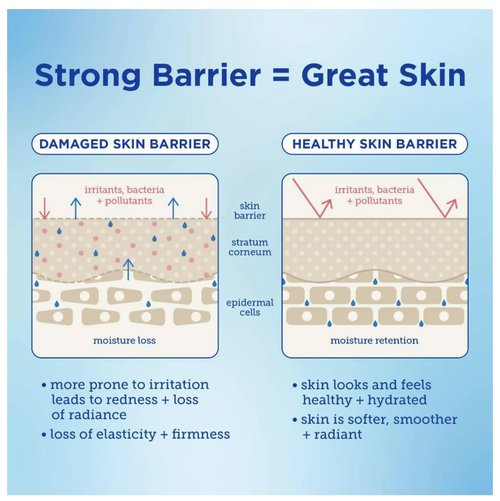 Skinfix Barrier Buddies: Heavy Hitters Cleanser + Triple Lipid-Peptide Cream Hydration Set NEW