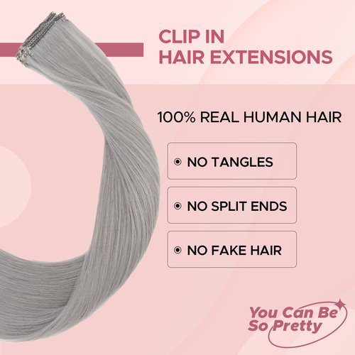 SEGOHAIR Clip in Hair Extensions Real Human Hair for Women, 10 Inch 31g 6pcs, Grey, Straight - Highlight, Add Volume and Length for Daily Wear, Parties, Weddings