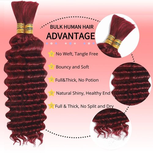 99J Burgundy Human Braiding Hair For Boho Braids 100g Deep Wave Bulk Human Hair for Braiding 12A No Weft Curly Human Hair Extensions Wet and Wavy Boho Hair for Braiding (99J-Deep Wave, 16 Inch)