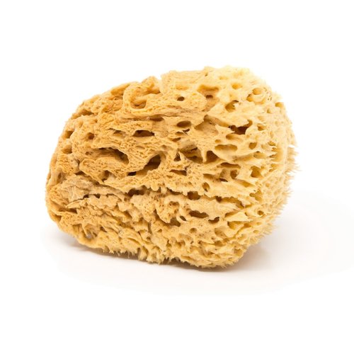 BodyCare Sea Sponge, 11-12.5cm, Premium Quality, Honeycomb Sponge for The Most Sensitive and Delicate Skin. A Natural Unbleached, Sustainibly Harvested in Plastic-Free, Minimalist Packaging.