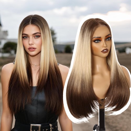 Worldnewhair Blonde to Brown Ombré Siamese Cat Style Synthetic Wig 26 Inch - 13x4 HD Lace Front Wigs for Women, Pre Plucked Pre Cut Long Straight Heat Resistant Fiber Pre-styling Hair for Daily