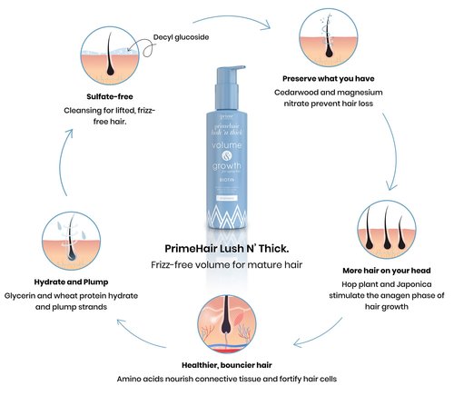 PRIME PROMETICS PrimeHair Lush N' Thick Shampoo for Mature Women – Biotin Enriched, Sulfate-Free and Paraben-Free Shampoo with Hair Growth Promoting Ingredients – Volumizing, Hydrating