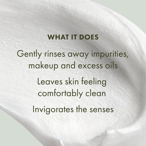 Origins Checks and Balances Frothy Face Wash | Gentle Face Cleanser for All Skin Types | With Mint, 5 Fl Oz
