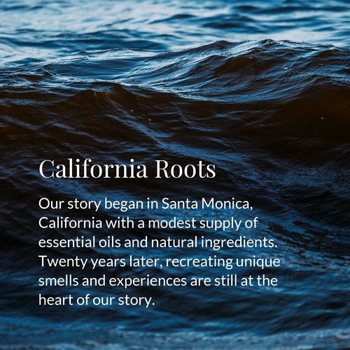 Archipelago Botanicals Pomegranate Citrus Reed Diffuser Oil Refill, Home Fragrance Oil for Diffuser, Long-Lasting Natural Home Fragrance, Diffuser Oil Scents, 7.85 Fl Oz