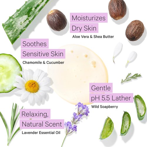 Tree To Tub Citrus and Lavender Body Wash for Dry Skin & Sensitive Skin - pH Balanced Moisturizing Body Wash, Hydrating Sulfate Free Body Soap for Women & Men w/Organic Shea Butter, Aloe Vera, Natural