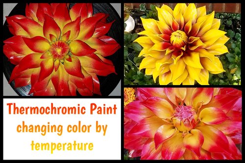 Temperature Activated Thermochromic Powder Pigments Multicolor Pack Perfect for Color Changing Slime Nail Art Secret Message Tumblers Science Experiments Resin Jewelry T-Shirts Shoes