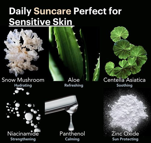 KOOLSOL by Knours | Zero White Cast | Mineral | Reef Safe | Korean Face Sunscreen SPF 50 | Made in USA | FDA OTC Registered | Aloe + Centella + Panthenol + Niacinamide | Sensitive Skin | 1.69oz