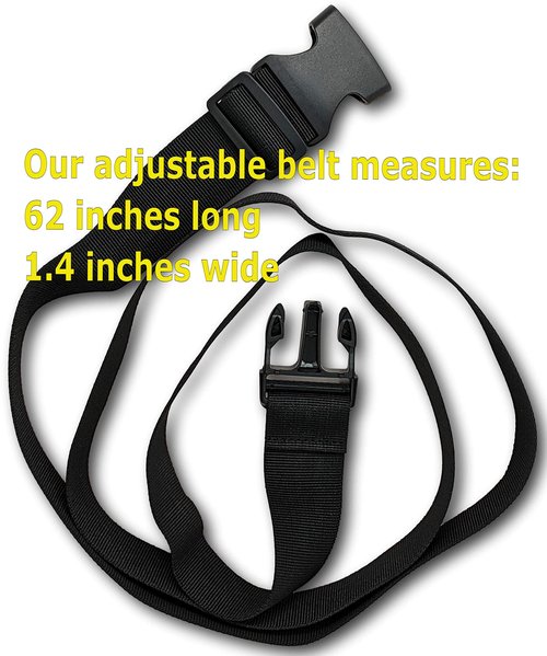 Earth's Essentials Insulated Double Bottle Holster with Belt for Massage Oils & Lotions - Includes (4) 8 Ounce Bottles / (4) Pumps / (4) Disc Caps