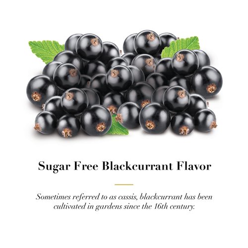 Dr. Doolittle’s Sugar Free Soft Fruit Pastilles for Voice and Throat, Blackcurrant Flavor, 2.12 Ounce Tin, approximately 25 Count Package, 3 Pack