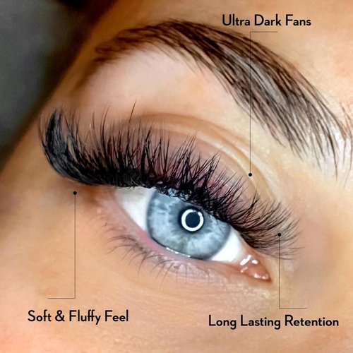 One V Salon Pro 6D Ultra-Speed Promade Fans, 1000 Premade Volume Lash Fans | D Curl | 0.07 | 8–14 mm Mixed Lengths | Thin Base, Quick Application Eyelash Extensions (Ultra 6D-0.07-D Curl)