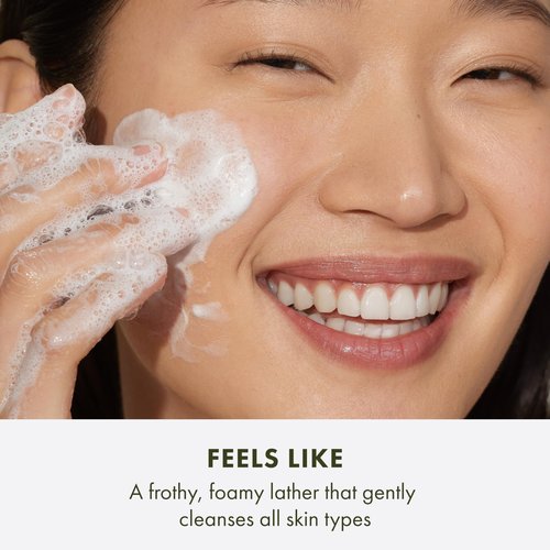Origins Checks and Balances Frothy Face Wash | Gentle Face Cleanser for All Skin Types | With Mint, 5 Fl Oz