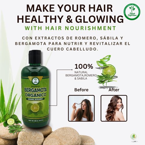 HIGH SUPREME Shampoo organic bergamot (16.9 fl oz) with aloe vera & rosemary SHAMPOO ORGANICO BERGAMOTA con Sabila & Romero Cont. net. 500 ml (Pack of 2)