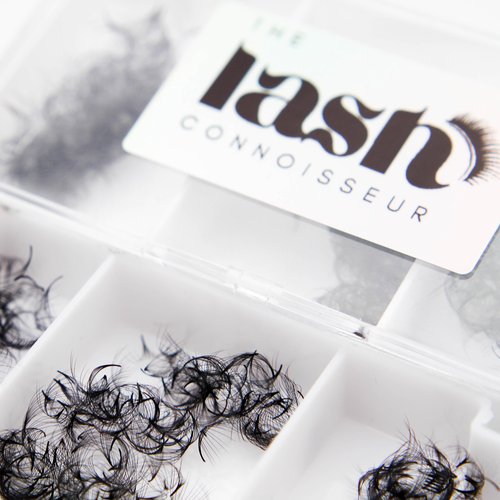 6D - CC Curl 750 Fans Mixed Promade Fans Lash Extensions | TLC Lash Supplies 4D to 16D Premade Fans 7 mm to 16 mm Mixed Length Thin Base Premade Fans Eyelash Extensions (6D - CC Curl, 13-14-15 mm)