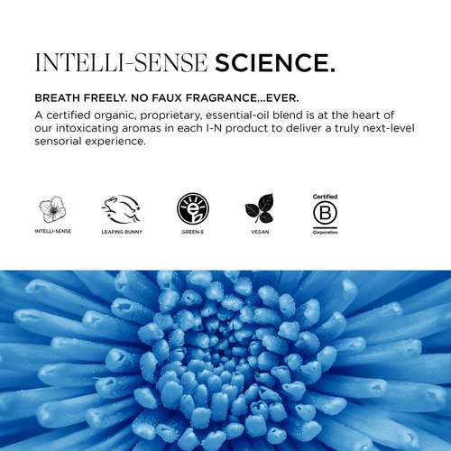 Intelligent Nutrients Amplifi-hair Style & Restyler Spray, Volume Boost and Texture Styling for All Hair Types, Vegan, 5 Oz