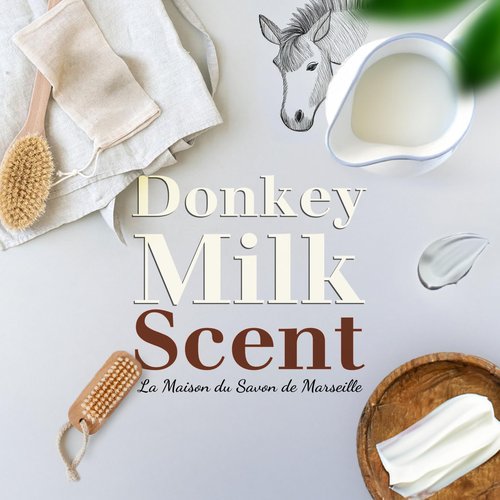 Donkey Milk Soap Bars 3xPack – Enriched With Organic Shea Butter - 97% Natural Ingredients - Traditionally Made - French Milled in Provence - Gentle For Skin – 3x8.8 oz - La Maison Du Savon