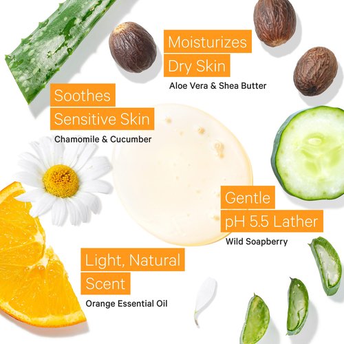 Tree to Tub Citrus Body Wash for Dry Skin & Sensitive Skin - pH Balanced Moisturizing Body Wash, Hydrating Sulfate Free Body Soap for Women & Men w/Organic Shea Butter, Aloe Vera, Natural Soapberry