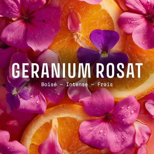 Panier des Sens - Rose Geranium Eau de Toilette 1.7 Floz – Enveloping & Floral Fragrance - Daily Light Perfume for Women - Parfum Crafted in Grasse, France - Elegant Packaging Perfect Gifts for Her