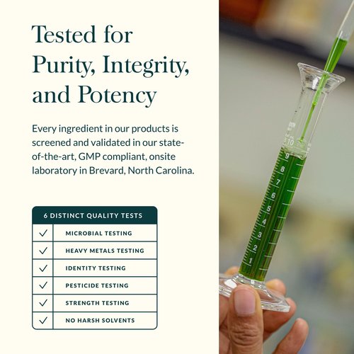 Gaia Herbs Stinging Nettle Leaf - Respiratory & Immune Health Support* - Supplement with Stinging Nettle Leaf Extract - Vegan, Gluten-Free, Soy-Free - 60 Liquid Phyto-Caps (30 Servings)