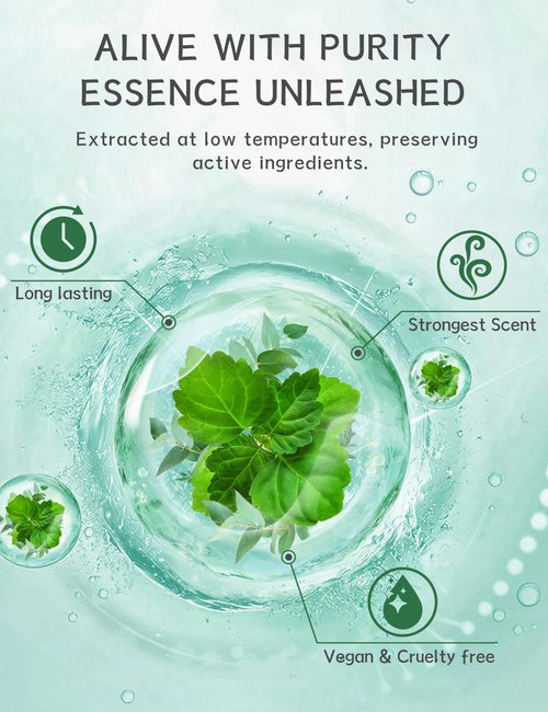 SEONNIX 15 Pack Menthol Eucalyptus Shower Steamers & 15 Pack Tangerin Lemon Shower Steamers