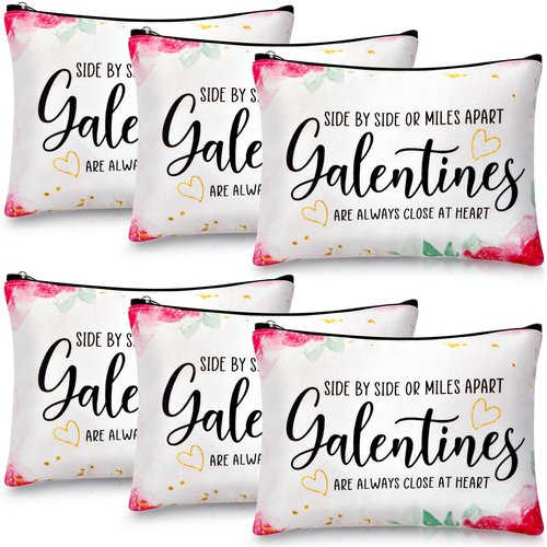 Reginary 6 Pcs Galentines Day Gifts Galentines Makeup Bag for Her Friend Appreciation Gifts Makeup Bag for Women Valentines Friends Female Sister