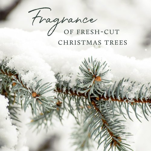 Thymes Hand Wash - 15 Fl Oz - Frasier Fir