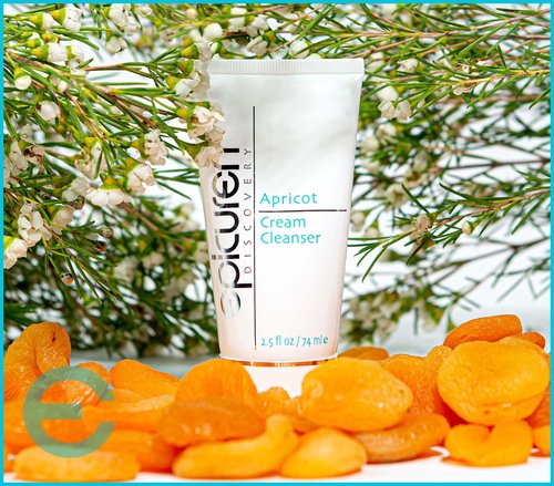 epicuren DISCOVERY Apricot Cream Cleanser, 2.5 oz.