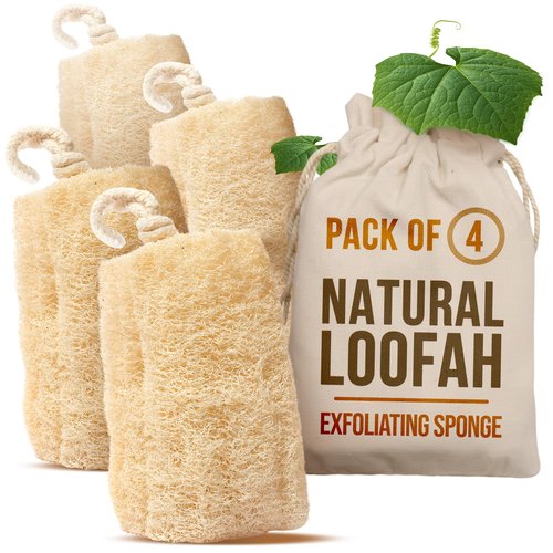 CraftsOfEgypt Natural Loofah Sponge – Egyptian Luffa Body Scrubber Pack of 4 for Men & Women, Natural Bath & Shower Loofah Exfoliator, All Natural Loofah Sponges for Face Back & Body, 6" x 6"