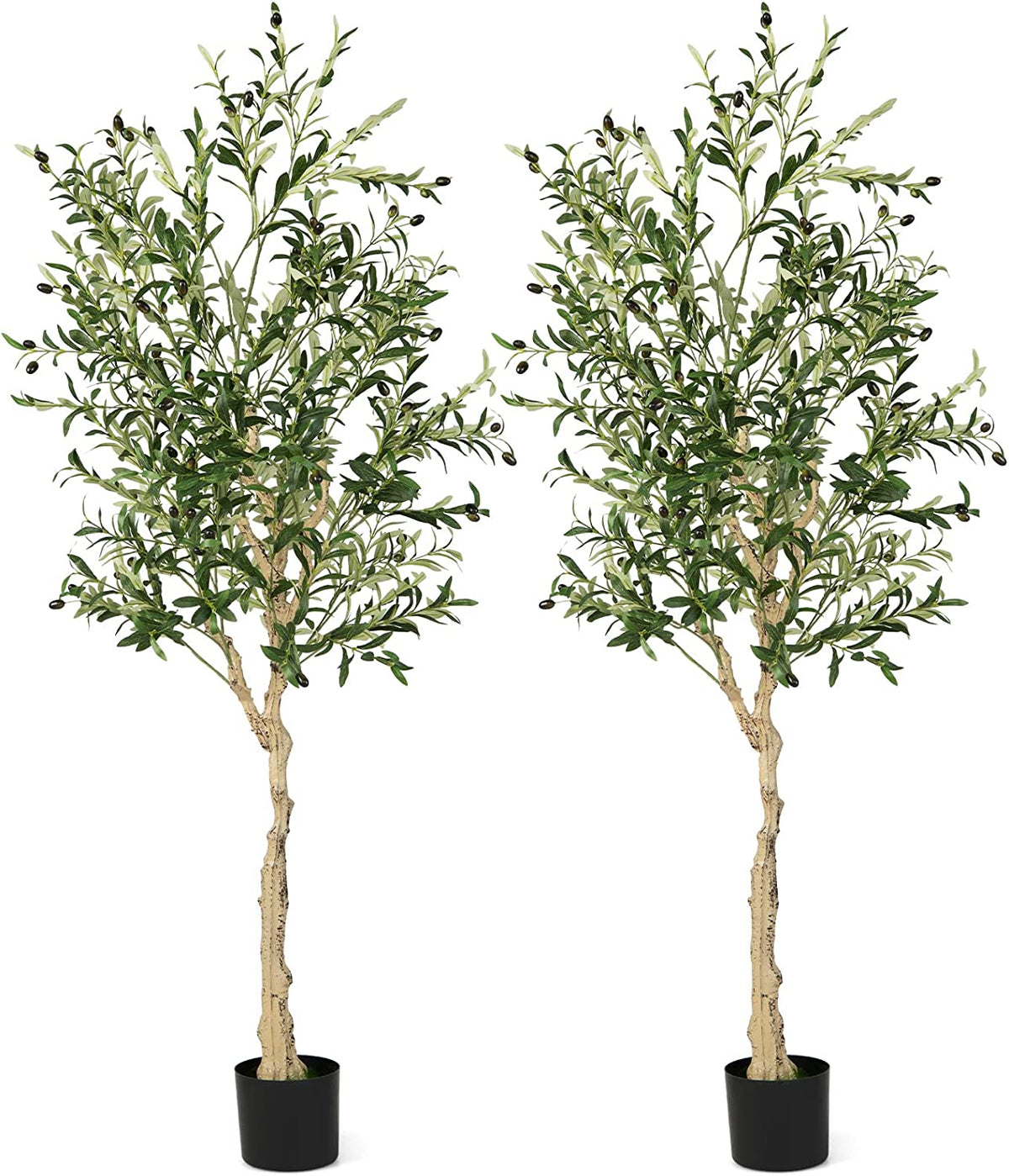 2 Pieces Artificial Olive Tree in Cement Pots - 6 Feet Tall, Realistic Indoor Outdoor Decor
