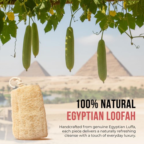 CraftsOfEgypt Natural Loofah Sponge – Egyptian Luffa Body Scrubber Pack of 4 for Men & Women, Natural Bath & Shower Loofah Exfoliator, All Natural Loofah Sponges for Face Back & Body, 6" x 6"