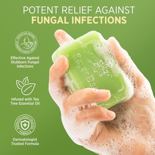 Roycederm Tea Tree Antifungal Care Set - Scalp & Skin Solution Bundle