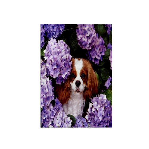 3D Rose Cavalier King Charles Spaniel TWL_61913_1 Towel, 15" x 22"