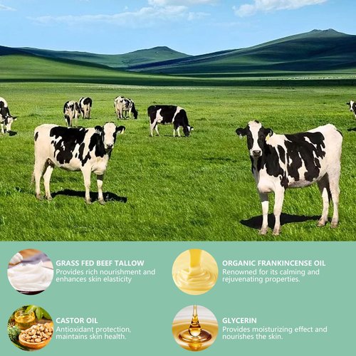 zdiwond Organic Whipped Tallow Cream Balm with Castor Oil & Frankincense Oil, 2 Pack Grass Fed Whipped Obviously Beef Tallow Cream for Natural Skincare & Moisturizing, Moisturizer for Skin/Face (2)