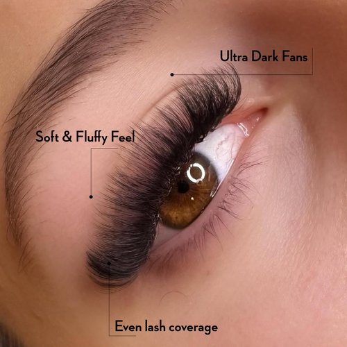 One V Salon Pro 10D Ultra-Speed Promade Fans, 1000 Premade Mega Volume Lash Fans | C Curl | 0.05 | 8–14 mm Mixed Lengths | Thin Base, Fast Application Eyelash Extensions(Ultra 10D-0.05-C Curl)