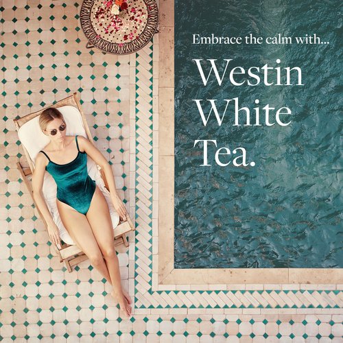 Westin White Tea Aloe Body Lotion | Hotel Spa Cream | Daily Hydration | Hand Lotion Pump | 8 oz Signature Scent Skin Moisturizer (Pack of 2)