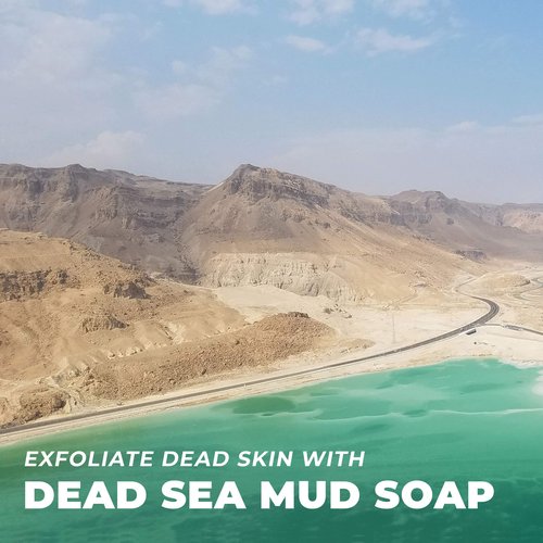 O NATURALS Detoxifying Charcoal Bar Soap & Psoriasis Dead Sea Mud and Clay Soap Bundle. Natural Bar Soap Face Body Cleanser Helps Acne Eczema Exfoliate Dead Skin. Two 3 Packs, 4oz Each Bar of Soap.