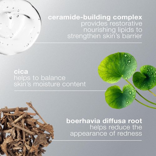 Dermalogica Stabilizing Repair Cream, Face Moisturizer for Sensitive Skin with Cica - Strengthens, Soothes, and Repairs Skin Barrier, 0.5 fl oz