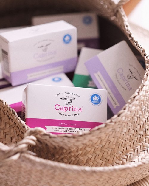 Caprina Fresh Goat’s Milk Bar Soap FRAGRANCE FREE (6-Pack) 3.2 oz (90g) each, For Sensitive Skin, Cleanses Without Drying, Biodegradable Formula