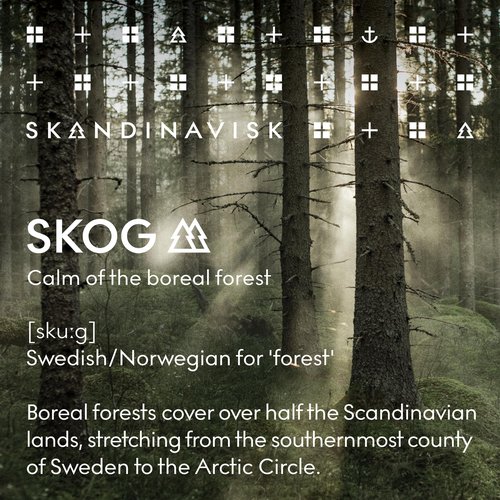 Skandinavisk SKOG ‘Forest’ Hand Body Lotion, Pine needles and fir cones, birch sap and woodland lily of the valley, 16.91 fl. oz.