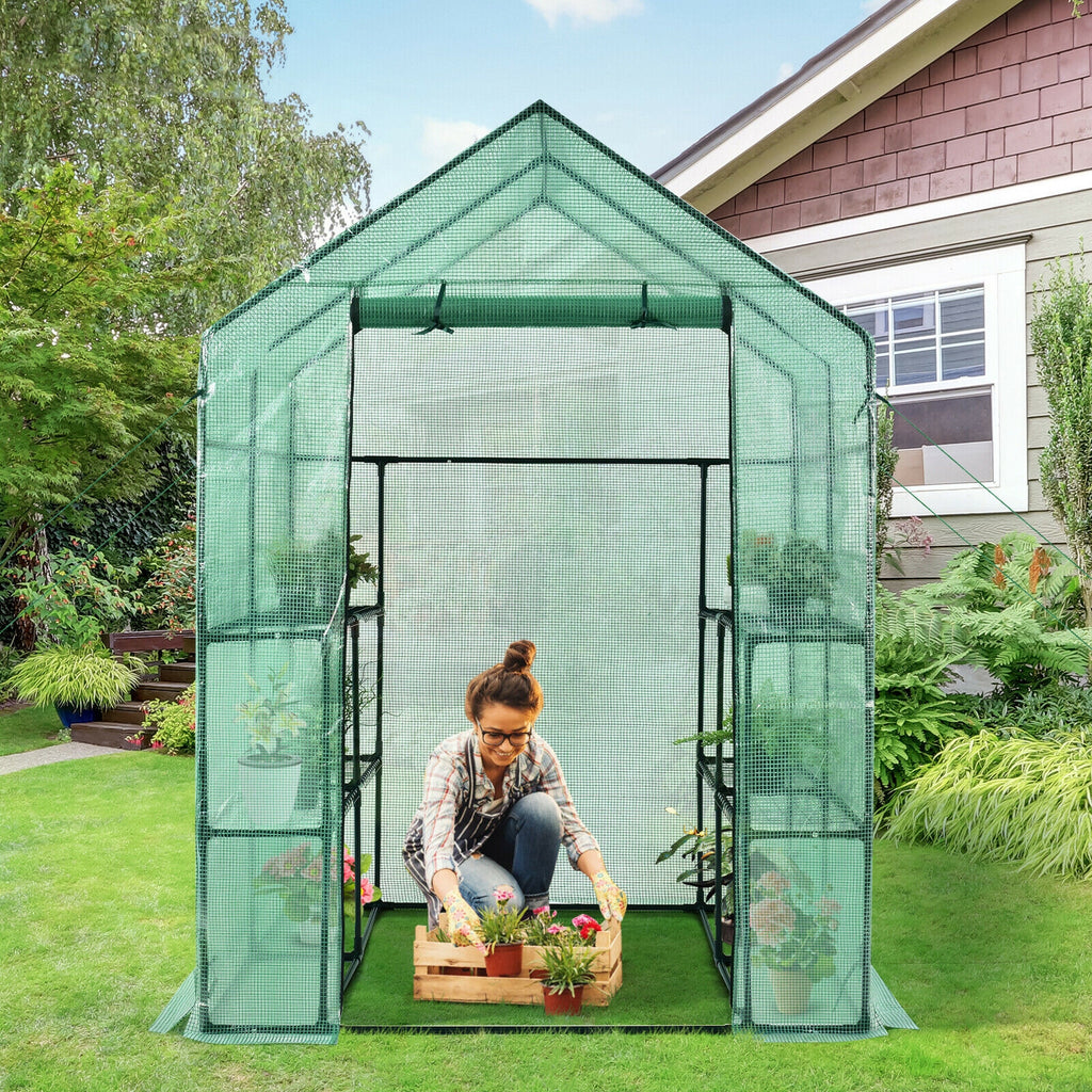 56 x 77 Inch Walk-in Greenhouse with Observation Windows