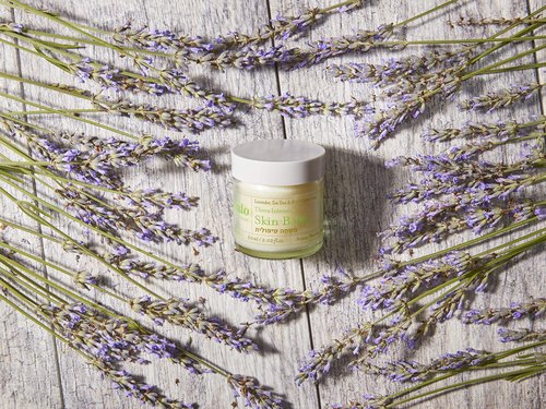 Lavido - Natural Thera Intensive Skin Balm | Clean, Non-Toxic Skincare (2 oz | 60 ml)