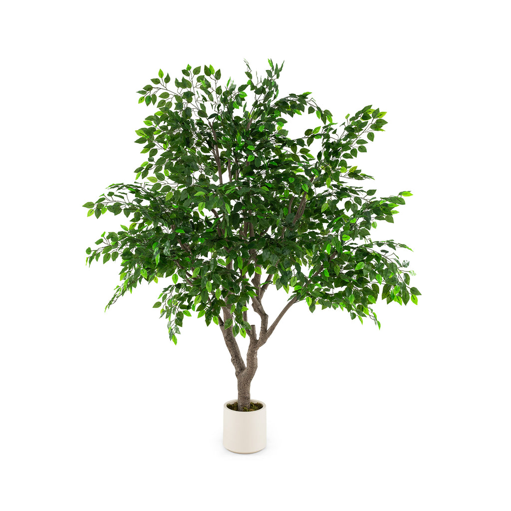 8.2 Ft Tall Artificial Ficus Tree with Dense Leaves - Faux Greenery Indoor Plant