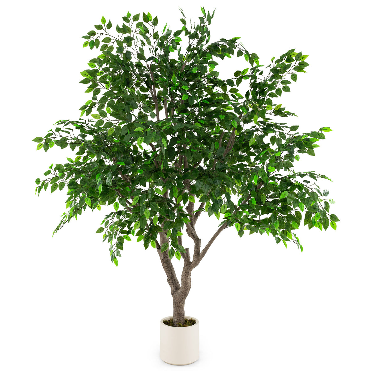 8.2 Ft Tall Artificial Ficus Tree with Dense Leaves - Faux Greenery Indoor Plant