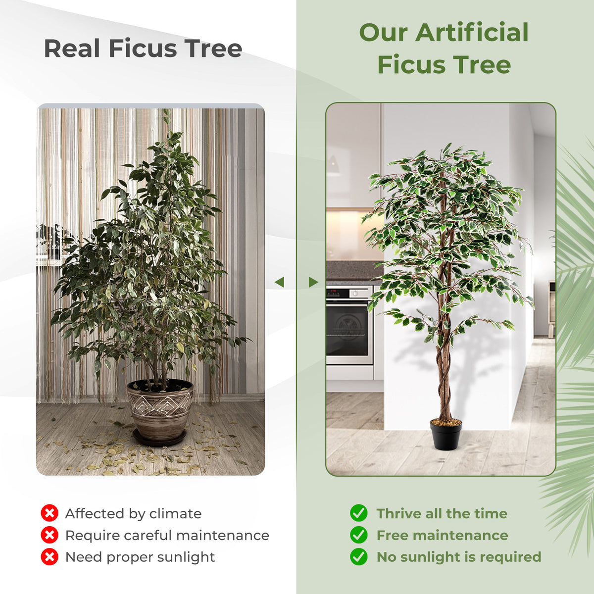 Tall Artificial Ficus Tree with 1008 Leaves Indoor Plant, Nursery Pot & Dried Moss